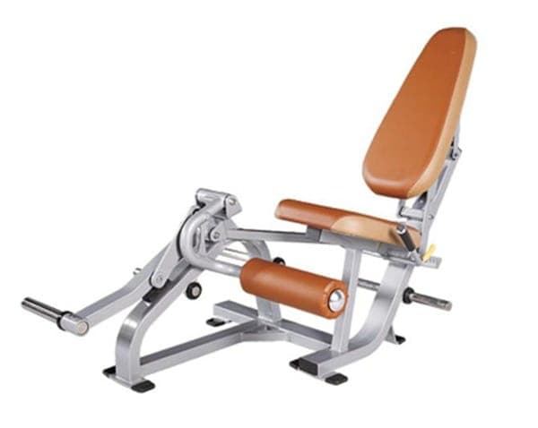 LEG EXTENSION