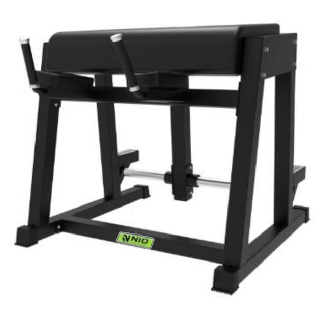 REVERSE HYPER EXTENSION